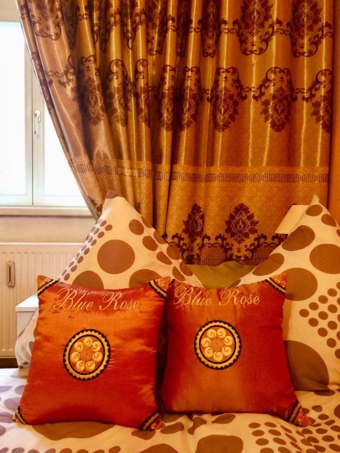 Blue Rose Apartman Karlovy Vary Eksteriør bilde